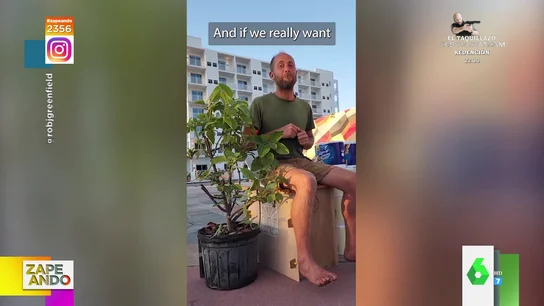 La propuesta de un activista para sustituir el uso de papel higiénico por hojas de una planta: "Ideal para tu ojal" La propuesta de un activista para sustituir el uso de papel higiénico por hojas de una planta: "Ideal para tu ojal"