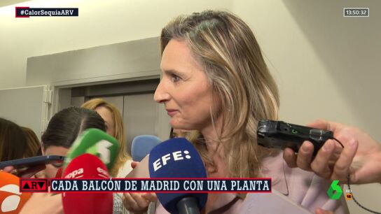 Ayudas para "reverdecer las azoteas y patios": la propuesta de Ayuso para combatir el cambio clim&aacute;tico