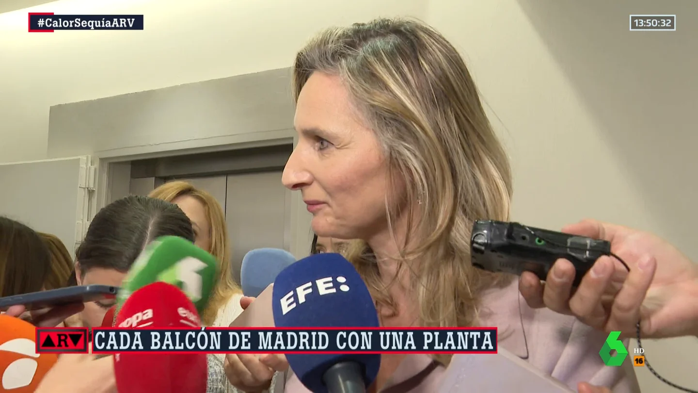Ayudas para "reverdecer las azoteas y patios": la propuesta de Ayuso para combatir el cambio climático Ayudas para "reverdecer las azoteas y patios": la propuesta de Ayuso para combatir el cambio climático