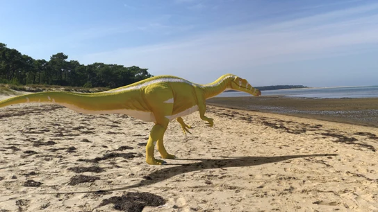 Recreación artística de un ejemplar de una nueva especie de dinosaurio, un espinosaurio bípedo y carnívoro cuyos primeros restos fósiles han aparecido en un yacimiento de la localidad castellonense de Cinctorres. Recreación artística de un ejemplar de una nueva especie de dinosaurio, un espinosaurio bípedo y carnívoro cuyos primeros restos fósiles han aparecido en un yacimiento de la localidad castellonense de Cinctorres.
