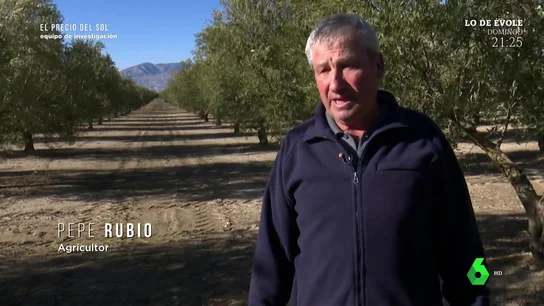 El drama de los agricultores a punto de ser expropiados por macroplantas solares: "Mi medio de vida es este" El drama de los agricultores a punto de ser expropiados por macroplantas solares: "Mi medio de vida es este"