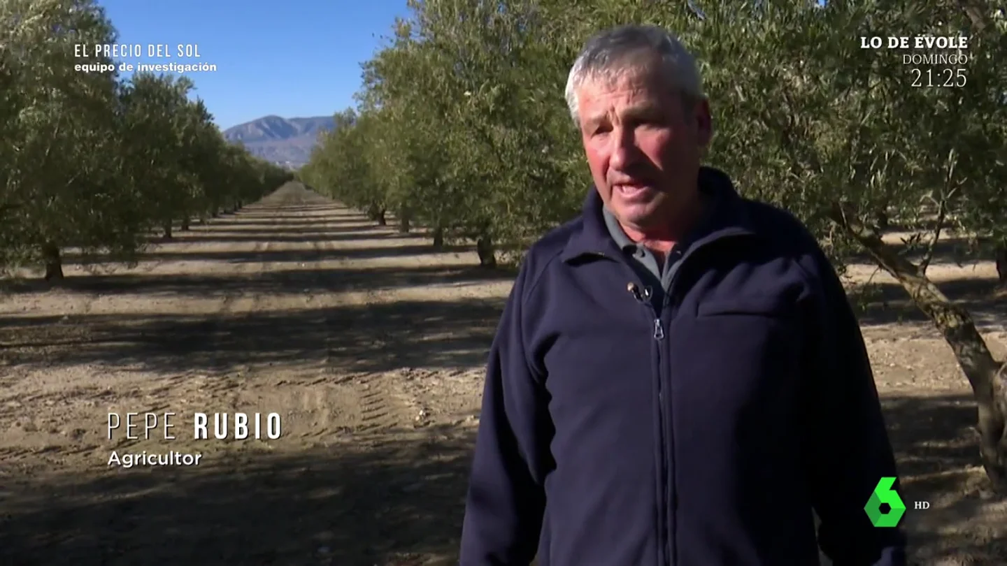 El drama de los agricultores a punto de ser expropiados por macroplantas solares: "Mi medio de vida es este" El drama de los agricultores a punto de ser expropiados por macroplantas solares: "Mi medio de vida es este"