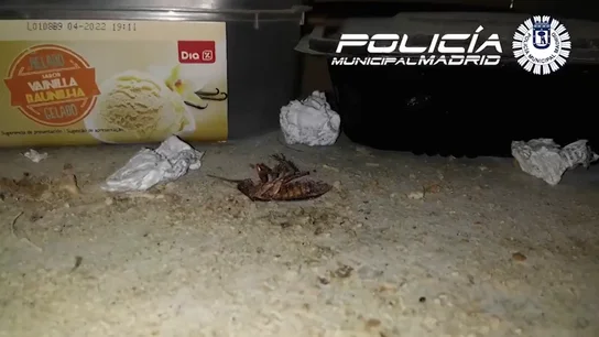 Precintan un local madrileño que vendía kebabs por estar lleno de grasa e infestado de cucarachas Precintan un local madrileño que vendía kebabs por estar lleno de grasa e infestado de cucarachas