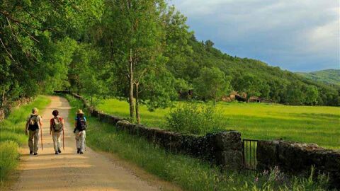 Senderismo en la Sierra de Francia