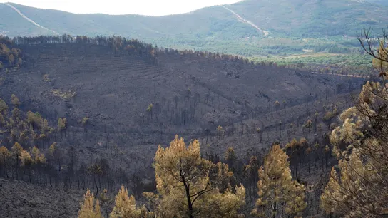 Fotografía este lunes, de los efectos un incendio, en Pinofranqueado, en la comarca cacereña de Las Hurdes (Extremadura). Fotografía este lunes, de los efectos un incendio, en Pinofranqueado, en la comarca cacereña de Las Hurdes (Extremadura).