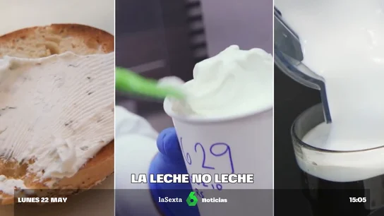 Leche Leche