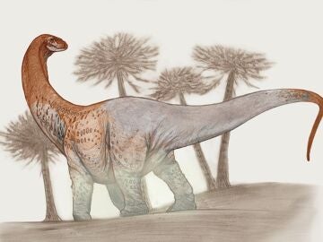 Ilustración Chucarosaurus