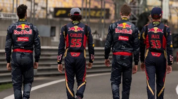 Ricciardo, Sainz, Kvyat y Verstappen en Toro Rosso