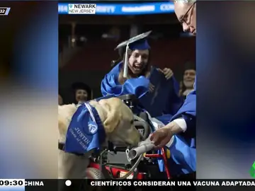 Un perro de servicio recibe junto a su dueña con discapacidad el diploma fin de curso por acompañarla a clase cada día