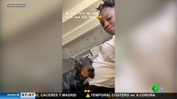 Un perro apoya la cabeza en la tripa de su dueña embarazada para escuchar las pataditas del bebé