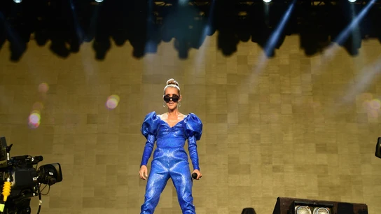 La cantante canadiense Céline Dion, durante un concierto en una imagen de archivo La cantante canadiense Céline Dion, durante un concierto en una imagen de archivo