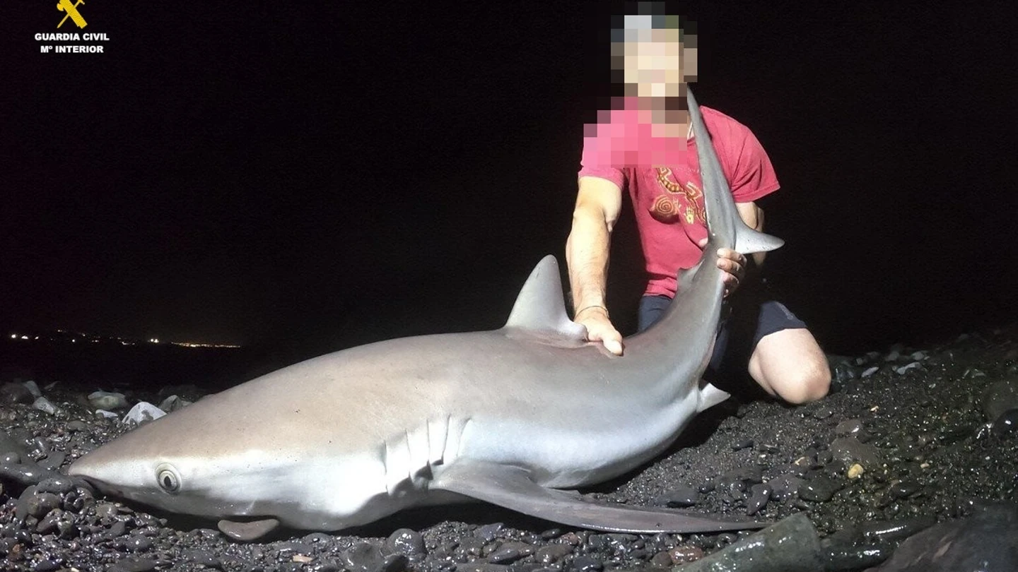 Una persona con un tiburón capturado en Lanzarote Una persona con un tiburón capturado en Lanzarote