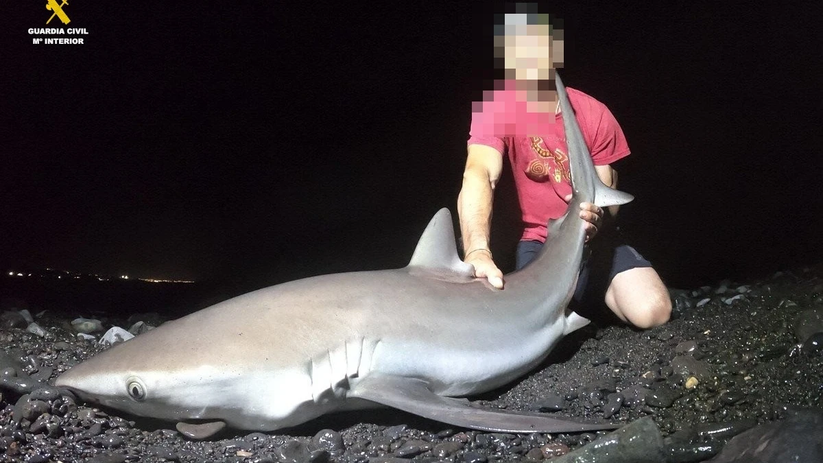 Una persona con un tiburón capturado en Lanzarote