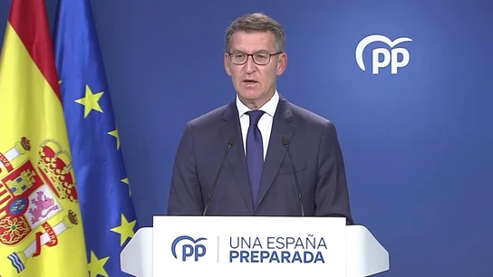 Alberto Núñez Feijóo, presidente del PP Alberto Núñez Feijóo, presidente del PP