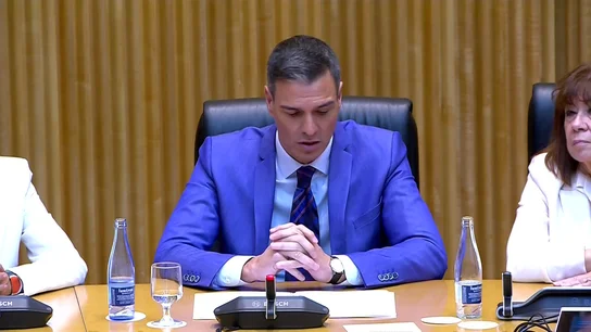 Sanchez se parece España Sanchez se parece España