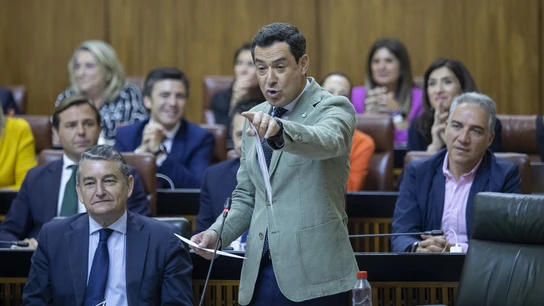 El presidente de la Junta de Andalucía, Juanma Moreno, en el Parlamento andaluz El presidente de la Junta de Andalucía, Juanma Moreno, en el Parlamento andaluz