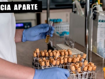 Qué dice el estudio sobre las sustancias detectadas en el cordón umbilical (y qué no dice)