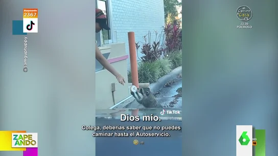 La entrañable escena que protagoniza un mapache en el parking de una cadena de donuts en Florida La entrañable escena que protagoniza un mapache en el parking de una cadena de donuts en Florida