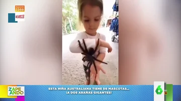 El vídeo viral de una niña australiana que tiene dos arañas gigantes como mascotas