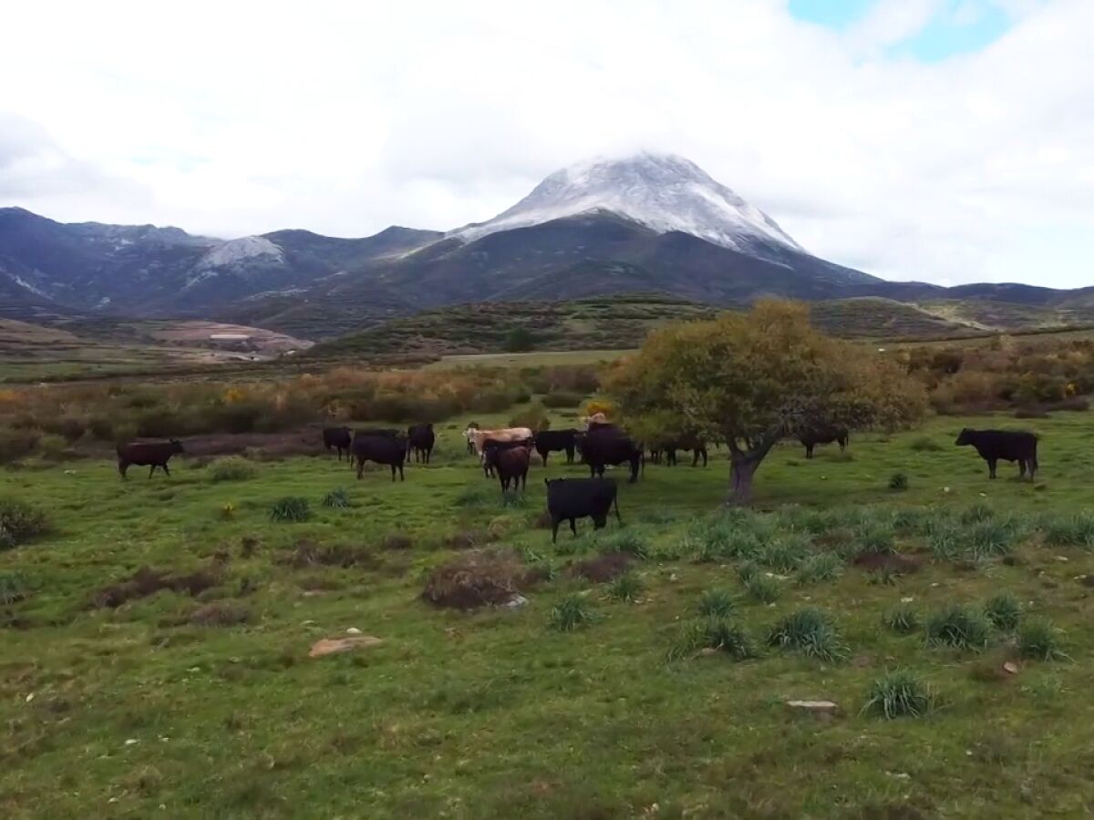 https://fotografias.lasexta.com/clipping/cmsimages01/2023/06/02/5B45EB3B-6BA4-4F53-B756-7920084E8E7E/montes-leon-patrimonio-onu-apuesta-sostenible-agricultura-ganaderia-desarrollo-rural_103.jpg?crop=960%2C720%2Cx160%2Cy0&format=webply&height=900&optimize=low&width=1200