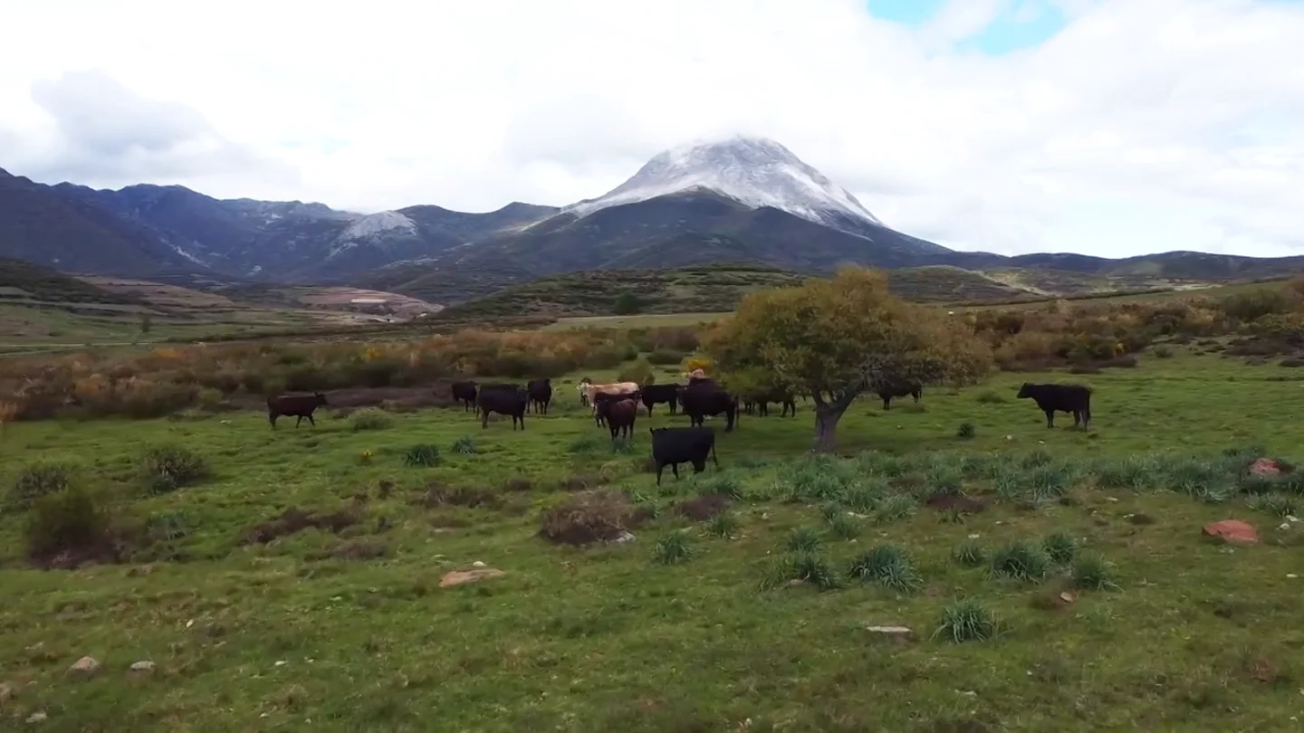 Los montes de León Los montes de León