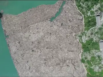 La imagen de la contaminación: ingentes cantidades de basura flotan en el río Drina