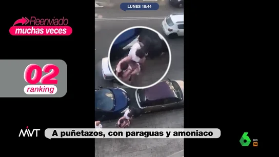 MVT Ladrón MVT Ladrón