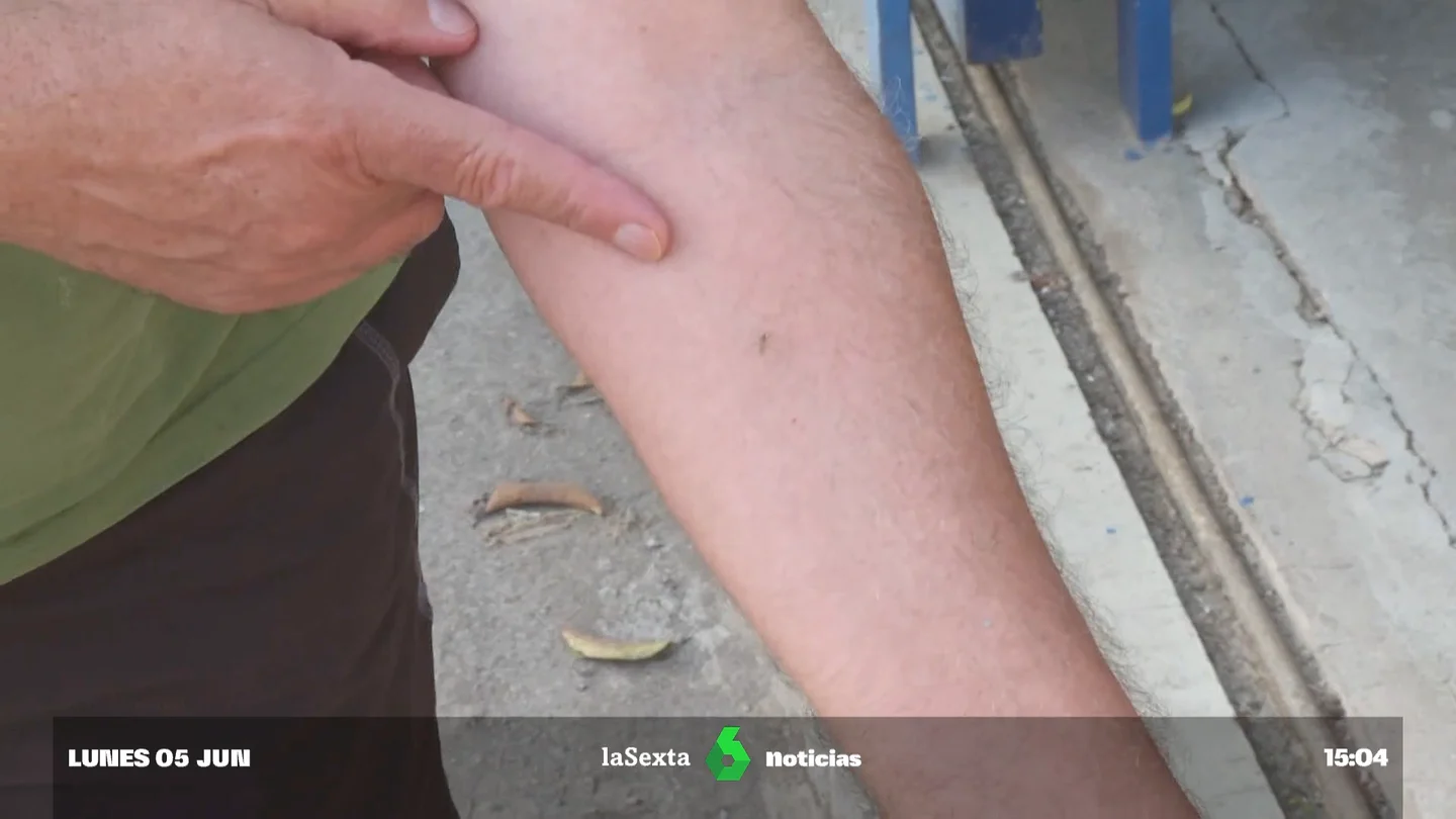 si te pica notifica si te pica notifica