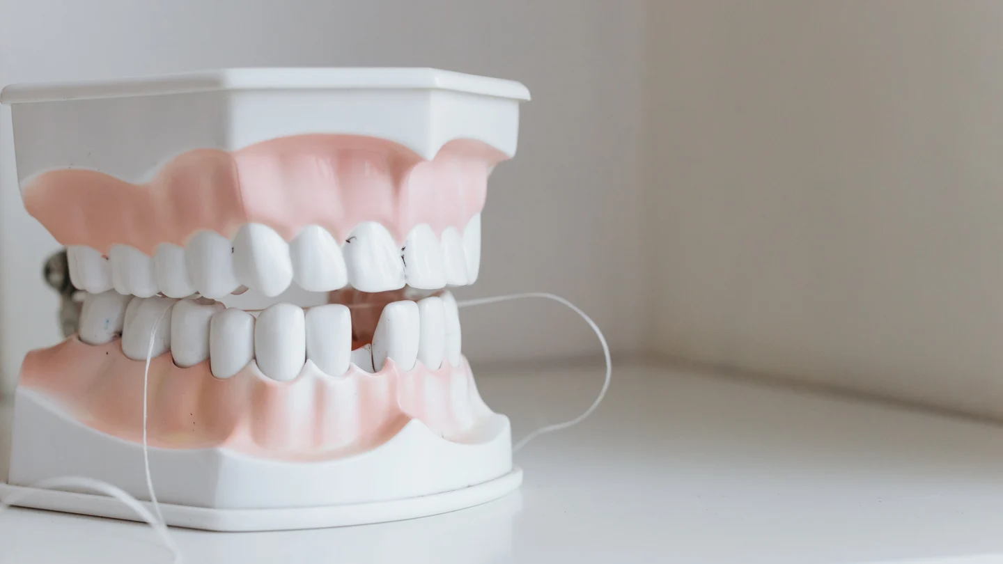 Una dentadura en una clínica dentista Una dentadura en una clínica dentista