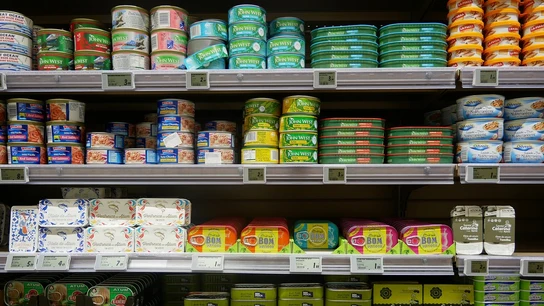 Imagen de archivo de latas de atún. Imagen de archivo de latas de atún.