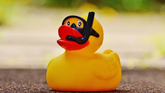 Fotografía de un "patito de goma" Fotografía de un "patito de goma"