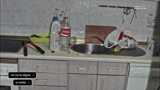 Un olor insoportable, más de mil moscas muertas y cadáveres en bolsas: el terrible escenario del crimen de Pioz Un olor insoportable, más de mil moscas muertas y cadáveres en bolsas: el terrible escenario del crimen de Pioz