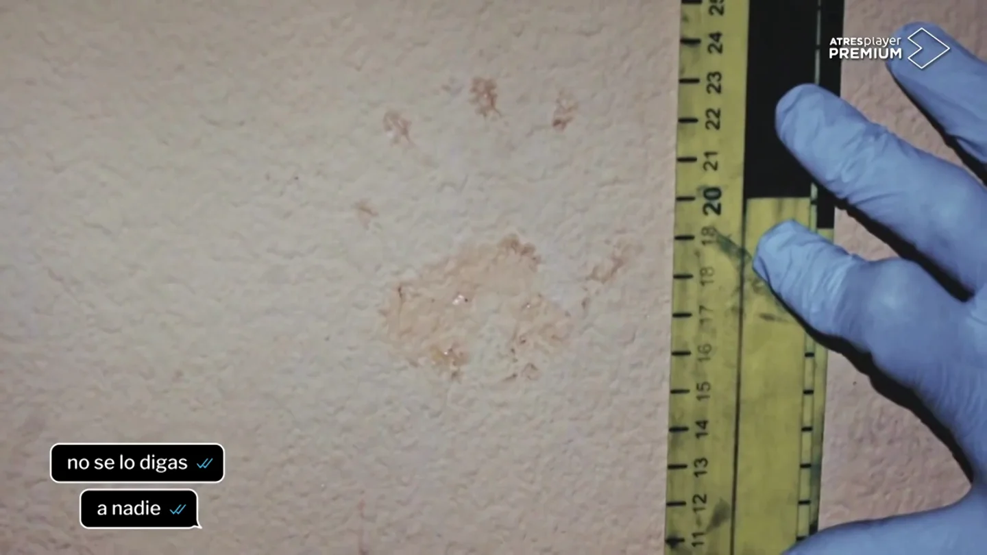 El detalle que deja en shock a los investigadores del crimen de Pioz: "Unas huellas de manos pequeñas ensangrentadas en la pared" El detalle que deja en shock a los investigadores del crimen de Pioz: "Unas huellas de manos pequeñas ensangrentadas en la pared"