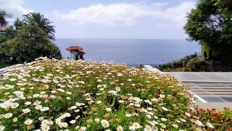 Jardines y paseo marítimo. Funchal