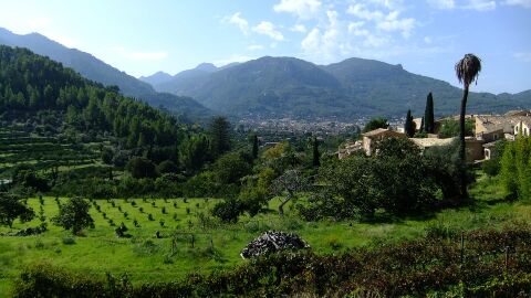 Tramuntana