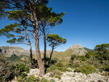 Puig de Galtazó Puig de Galtazó