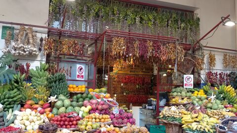 Mercado de Lavradores