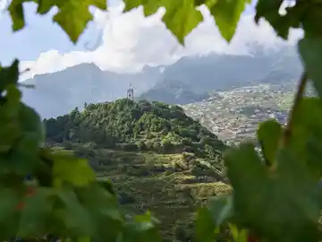 Paisajes Festa do Vinho Paisajes Festa do Vinho