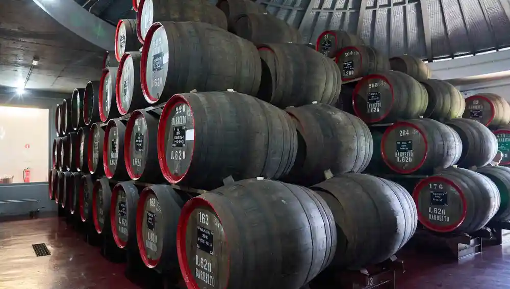 Bodegas. Festa do Vinho Bodegas. Festa do Vinho
