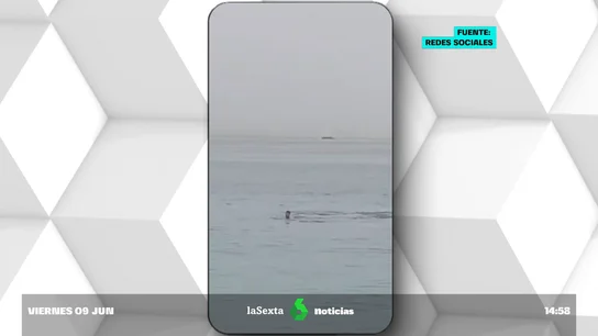 ataque tiburón ataque tiburón