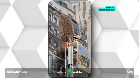 Centenares de abejas inundan Times Square, en pleno corazón de Nueva York Centenares de abejas inundan Times Square, en pleno corazón de Nueva York