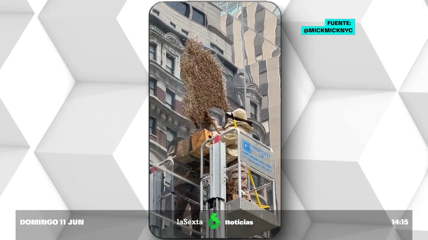 Centenares de abejas inundan Times Square, en pleno corazón de Nueva York Centenares de abejas inundan Times Square, en pleno corazón de Nueva York