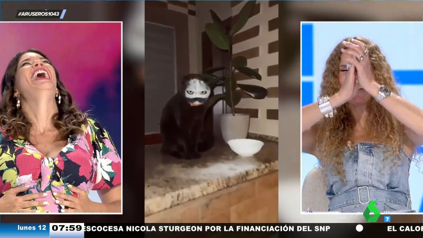 Un gato negro estornuda cerca de un cuenco de harina... y así se le queda la cara Un gato negro estornuda cerca de un cuenco de harina... y así se le queda la cara