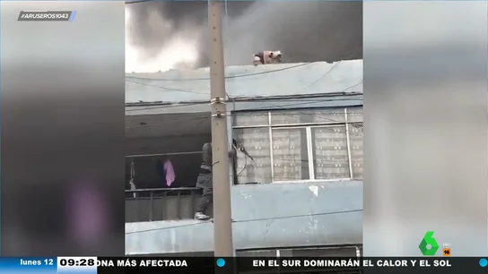Un hombre rescata a 25 perros de un incendio en un refugio de animales Un hombre rescata a 25 perros de un incendio en un refugio de animales
