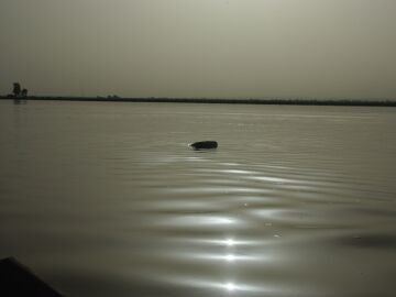 At least a hundred dead after a boat that returned from a wedding in Nigeria sank