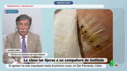 ¿Es posible poner una orden de alejamiento al menor que clavó unas tijeras a su compañero de instituto? Javier Urra responde "El problema es que al final es la víctima quien se tiene que ir, que el profesor lo más que puede echar a un chaval es unos días y que pocas veces se sanciona al agresor y se llama la atención a los padres", comenta el psicólogo en este vídeo.