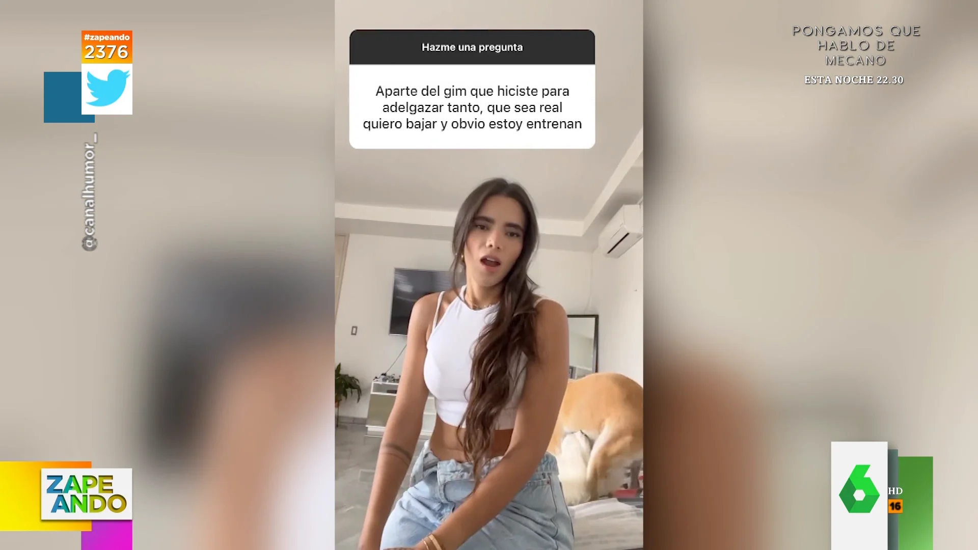 La reacción de una influencer al pillar a sus dos perros copulando 