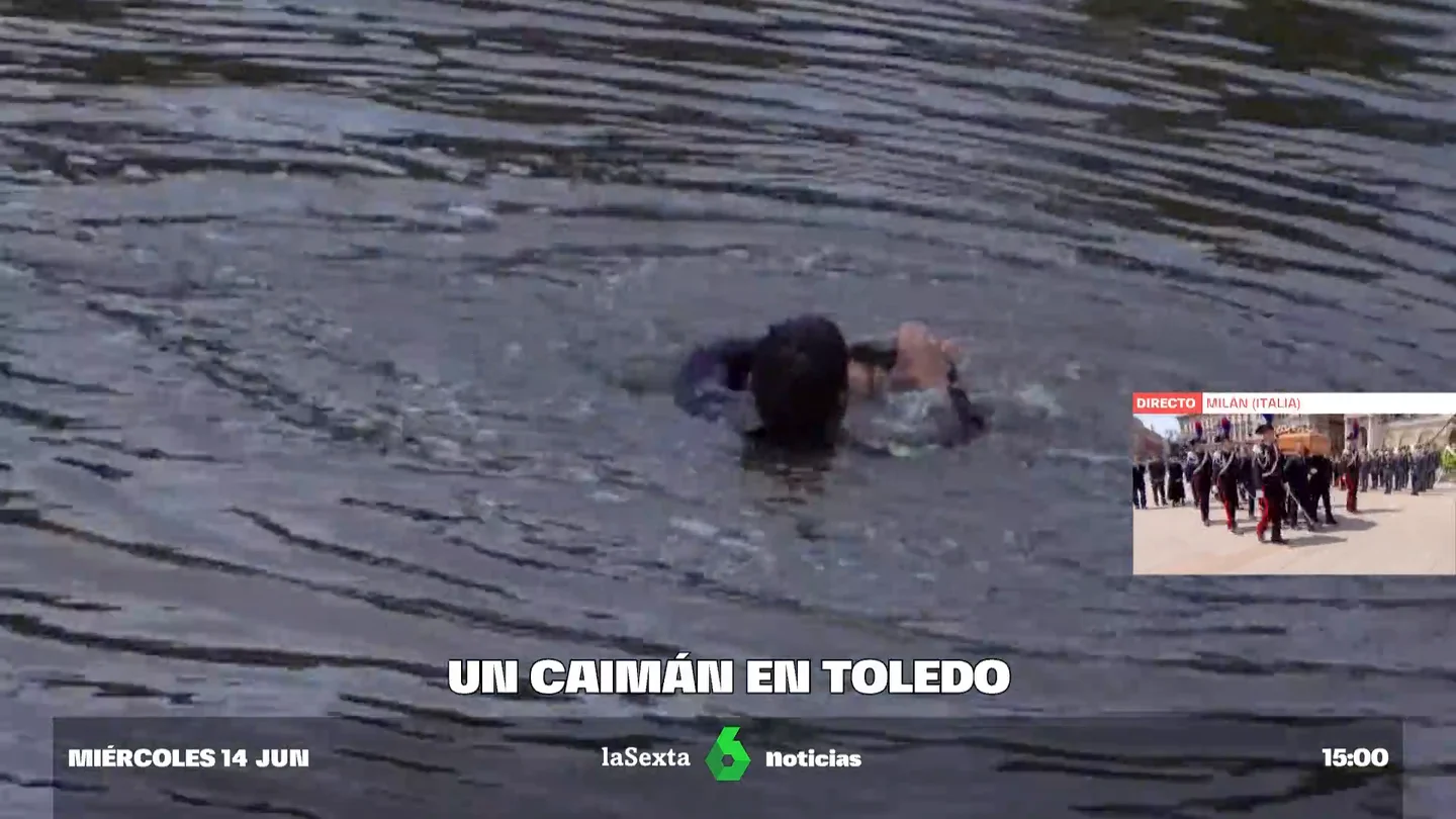 CAIMÁN TOLEDO CAIMÁN TOLEDO