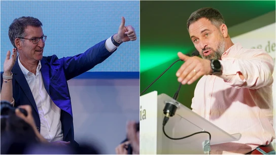 Feijóo y Abascal Feijóo y Abascal