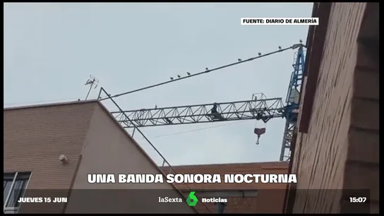 GAVIOTAS RUIDOSAS GAVIOTAS RUIDOSAS